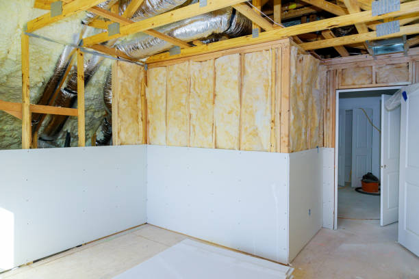 Best Local Insulation Services  in Wliamsvle, IL