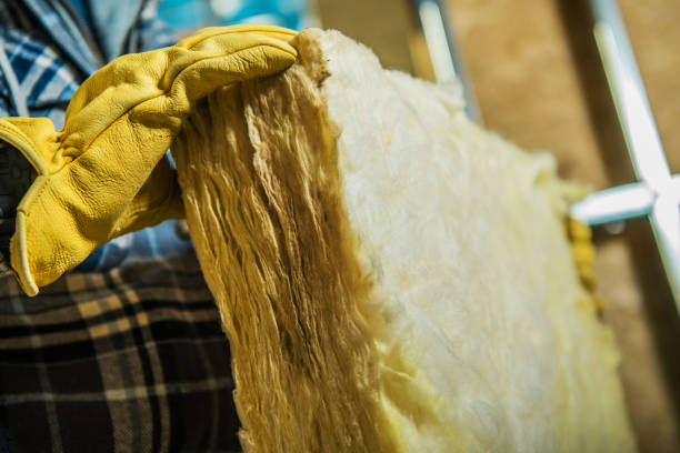 Best Insulation Repair Services  in Wliamsvle, IL