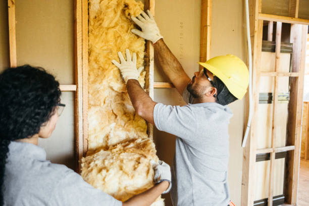Insulation Repair Services in Williamsville, IL