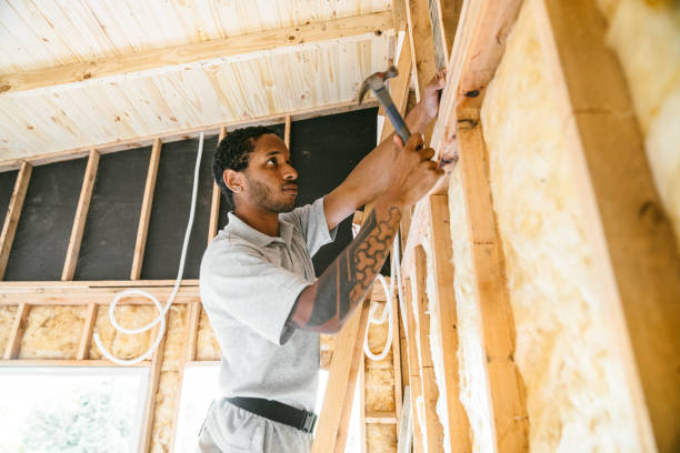 Insulation for Commercial Buildings in Williamsville, IL