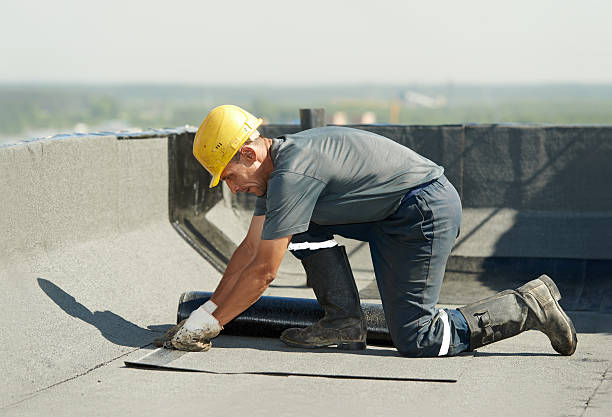 Best Garage Insulation Installation  in Wliamsvle, IL