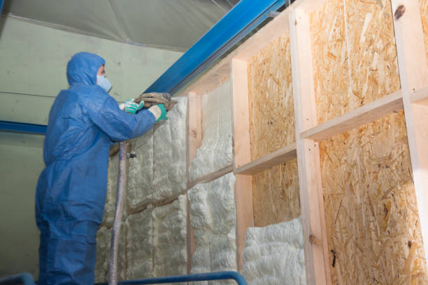 Best Insulation Inspection Services  in Wliamsvle, IL