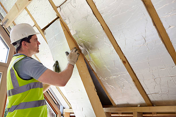 Insulation Inspection Services in Williamsville, IL